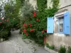 Dauphin - Façade d'une maison ornée de roses rouges (rosier) et ruelle du village provençal