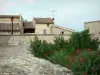 Dauphin - Plantes et fleurs en premier plan, lampadaire et maisons du village provençal