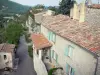 Dauphin - Maisons du village provençal