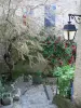 Dauphin - Narrow street, houses, lamppost, climbing rosebush (red roses), tree and plants