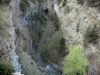 Défilé des Étroits - Gorge : rivière Souloise bordée d'arbres et de parois rocheuses ; dans le Dévoluy