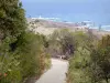 La Désirade - Mountain Road, llena de vegetación, con vistas a la punta del faro rayado