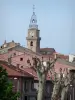 Digne-les-Bains - El campanario y la torre de la Catedral de St. Jerome casas dominantes y los plátanos (árboles) de la ciudad vieja