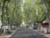 Digne-les-Bains - La avenida de los plátanos (árboles)