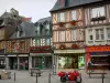 Dol-de-Bretagne - Guía turismo, vacaciones y fines de semana en Ille y Vilaine