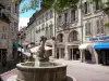 Dole - Fontaine de place aux Fleurs, maisons et commerces de la vieille ville