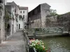 Dole - Passerelle enjambant le canal des Tanneurs, promenade le long de l'eau, rambardes ornées de fleurs et maisons de la vieille ville