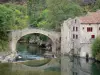 The Dourbie Gorges - Tourism, holidays & weekends guide in the Aveyron