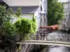 Dreux - Bridge spanning the River Blaise, houses along the water, geranium-bedecked balcony (flowers)