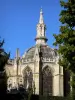 Dreux - Saint-Louis royal chapel and branches of trees