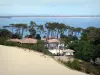 Duna di Pilat - Case ai piedi della duna, circondato da una pineta, si affaccia il villaggio di Cap Ferret e Arcachon Bay
