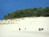 Duna di Pilat - I turisti a piedi sulla duna di sabbia