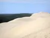 Duna di Pilat - Visualizza la duna e la foresta