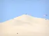 Düne Pilat - Gleitschirm (Gleitschirmfliegen) überfliegend die höchste Düne von Europa, sich befindend auf der Gemeinde La Teste-de-Buch