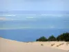 Düne Pilat - Blick auf den Atlantik von der DünePilat aus