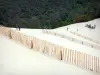 Düne Pilat - Holzzäune auf der Düne