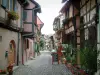 Eguisheim - Ruelle pavée et fleurie avec des maisons à colombages ornées de plantes, de fleurs et de géraniums