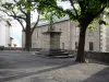 Embrun - Plaza de la Catedral: el Calvario y los árboles