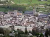 Embrun - El campanario de Notre-Dame-du-Réal, Brune torre (arzobispos mazmorras antiguas) y las casas del casco antiguo, rodeada de árboles río Durance (Durance valle)