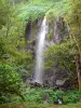 Ensenada de las Cascadas - Cascada rodeada de vegetación