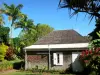 L'Entre-Deux - Casa criolla rodeado de palmeras y vegetación