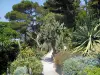 Ephrussi de Rothschild别墅 - 异国情调的花园