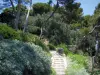 Ephrussi de Rothschild别墅 - 普罗旺斯花园