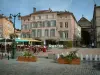 Épinal - Place des Vosges square with plants, flowers, fountains, café terraces, arcaded houses, and Saint-Maurice basilica in background