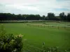 Equestrian sport - Racecourse (race track) in Chantilly, trees in background