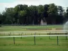 Equestrian sport - Racecourse (race track) in Chantilly and trees