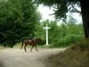 Equestrian sport - Road in the Compiègne forest with a rider and its horse, trees and orientation panel