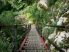 Escaleras de la Muerte - Escalera de hierro, piedra, arbustos y ruta de senderismo, en las gargantas del Doubs