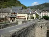 Estaing - Old gothic bridge spanning River Lot and houses of the medieval town