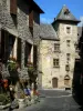 Estaing - Facade of a flower-bedecked house, Cayron mansion home to the town hall and street of the medieval town