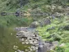 Estanque de Lers - Pond y sus orillas, en el Parque Natural Regional de los Pirineos de Ariège, en Couserans, la ciudad de Puerto