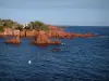 Estérel massif - Wild coast (côte sauvage) with pine trees and house, red cliffs (porphyry) and the Mediterranean Sea