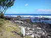 L'Étang-Salé - Rocky coast with grave facing the sea