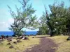 L'Étang-Salé - Stroll along the rocky coast