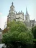 Évreux - Cathédrale Notre-Dame dominant les arbres au bord de la rivière Iton