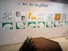 Exploradome - Inside the science and digital museum: wall of illusions
