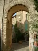 Fayence - Puertas y casas de piedra en el fondo