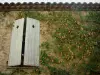 Fayence - Fachada cubierta con plantas trepadoras y las partes de una casa