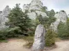 Felsansammlung von Montpellier-le-Vieux - Dolomitgestein und Bäume, auf der Causse Noir, im Regionalen Naturpark der Grands Causses
