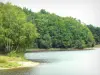 Feyt lake - Pond surrounded by trees