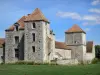 Fief des Epoisses stronghold - Old medieval fortified farm, pigeon tower, moats and lawn; in the town of Bombon