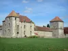 Fief des Epoisses stronghold - Old medieval fortified farm, pigeon towerand lawn; in the town of Bombon