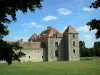 Fief des Epoisses stronghold - Old medieval fortified farm, lawn and tree branches; in the town of Bombon