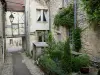 Flavigny-sur-Ozerain - Ruelle entourée de maisons anciennes