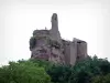 Fleckenstein castle