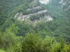 Flumen gorges - Rock faces of the gorges and trees; in the Upper Jura Regional Nature Park